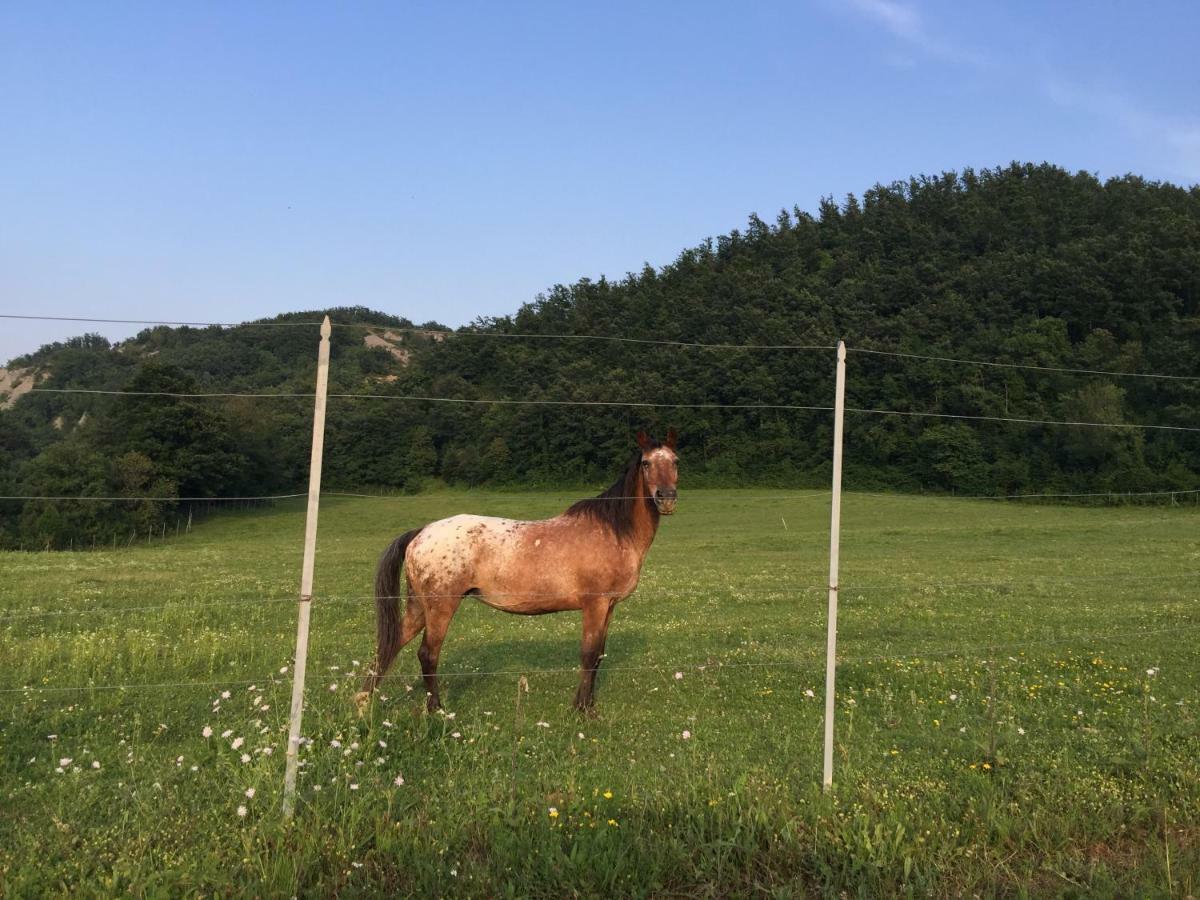 Relais Valguerriera Vendégház Apecchio Kültér fotó
